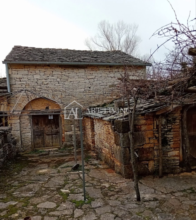 Istria, Grisignana, dintorni - autentica tenuta istriana con 60.000 m2 di terreno