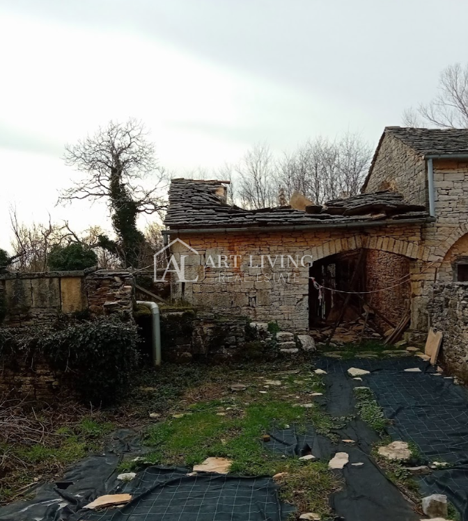 Istria, Grisignana, dintorni - autentica tenuta istriana con 60.000 m2 di terreno