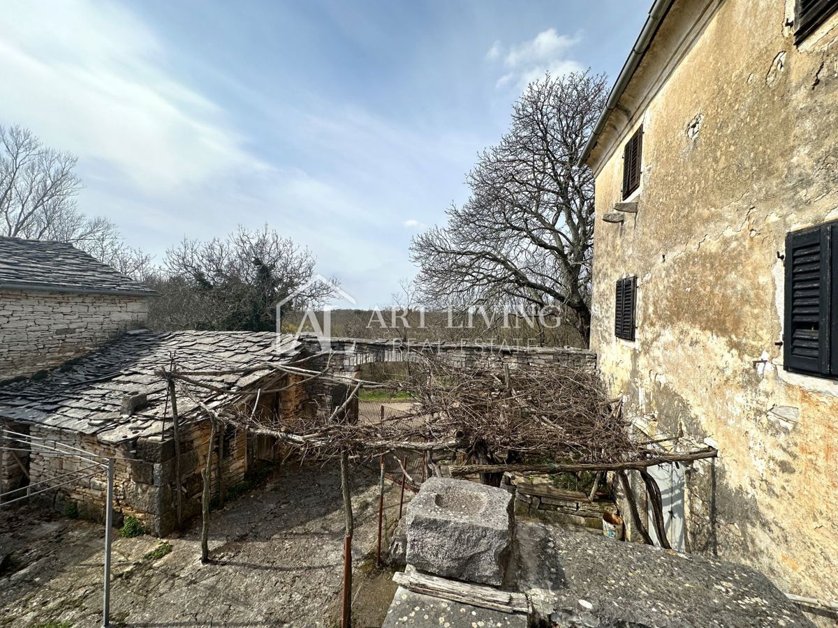 Istria, Grisignana, dintorni - casa autoctona in pietra istriana con 60.000 m2 di terreno