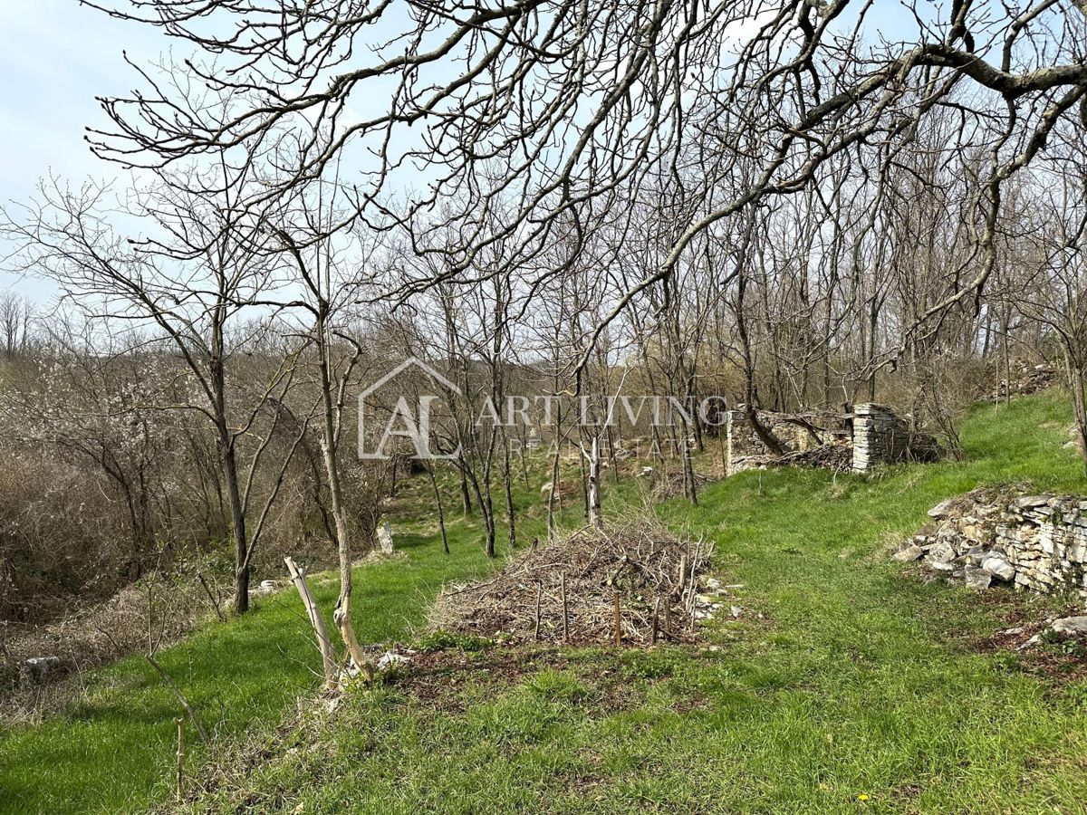 Istria, Grisignana, dintorni - casa autoctona in pietra istriana con 60.000 m2 di terreno