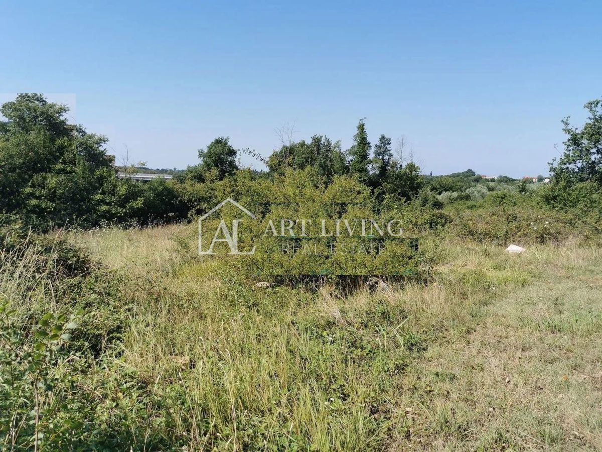 Brtonigla, dintorni – ampio terreno agricolo, 11.800 m²