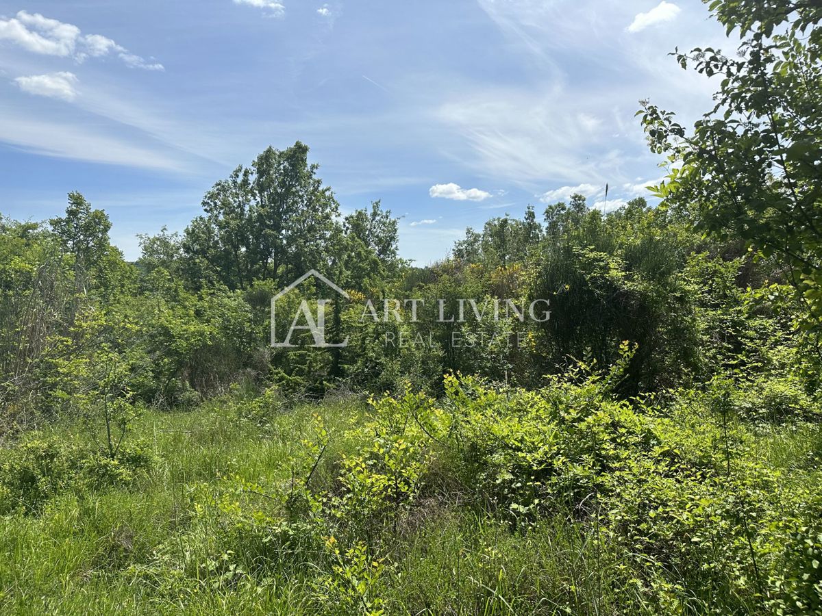 Brtonigla, dintorni – ampio terreno agricolo, 11.800 m²