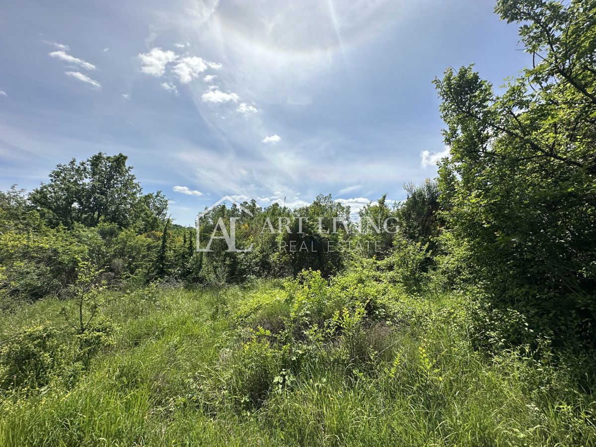 Brtonigla, dintorni – ampio terreno agricolo, 11.800 m²
