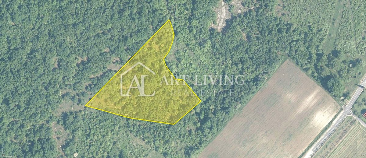 Brtonigla, dintorni – ampio terreno agricolo, 11.800 m²
