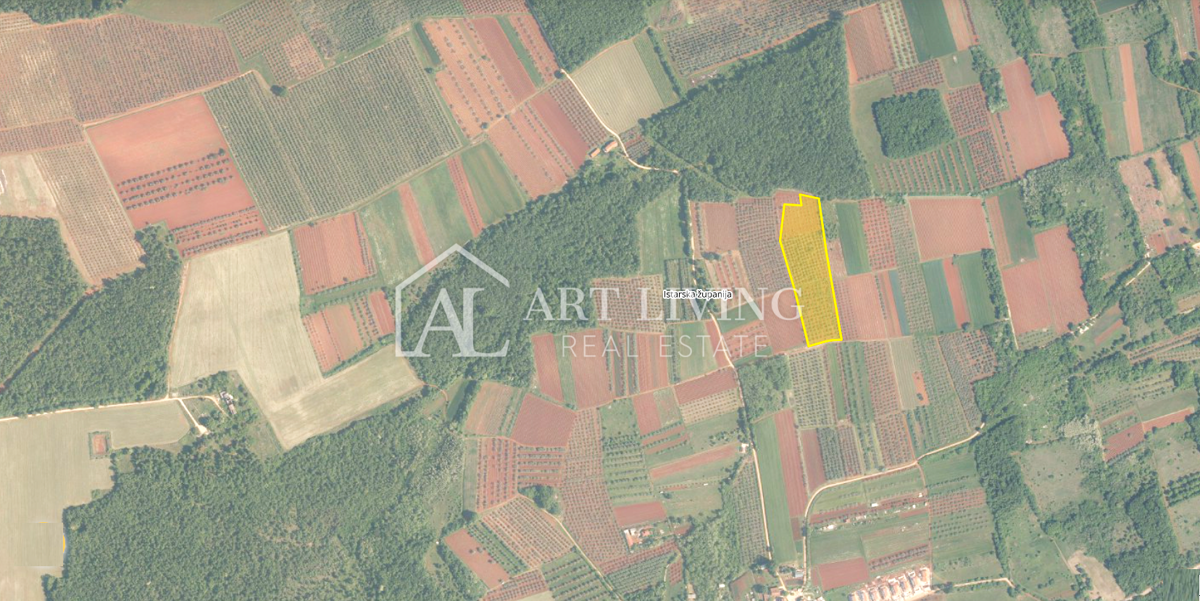 Istria, Zona di Novigrad – Bellissimo Terreno Agricolo con Uliveto