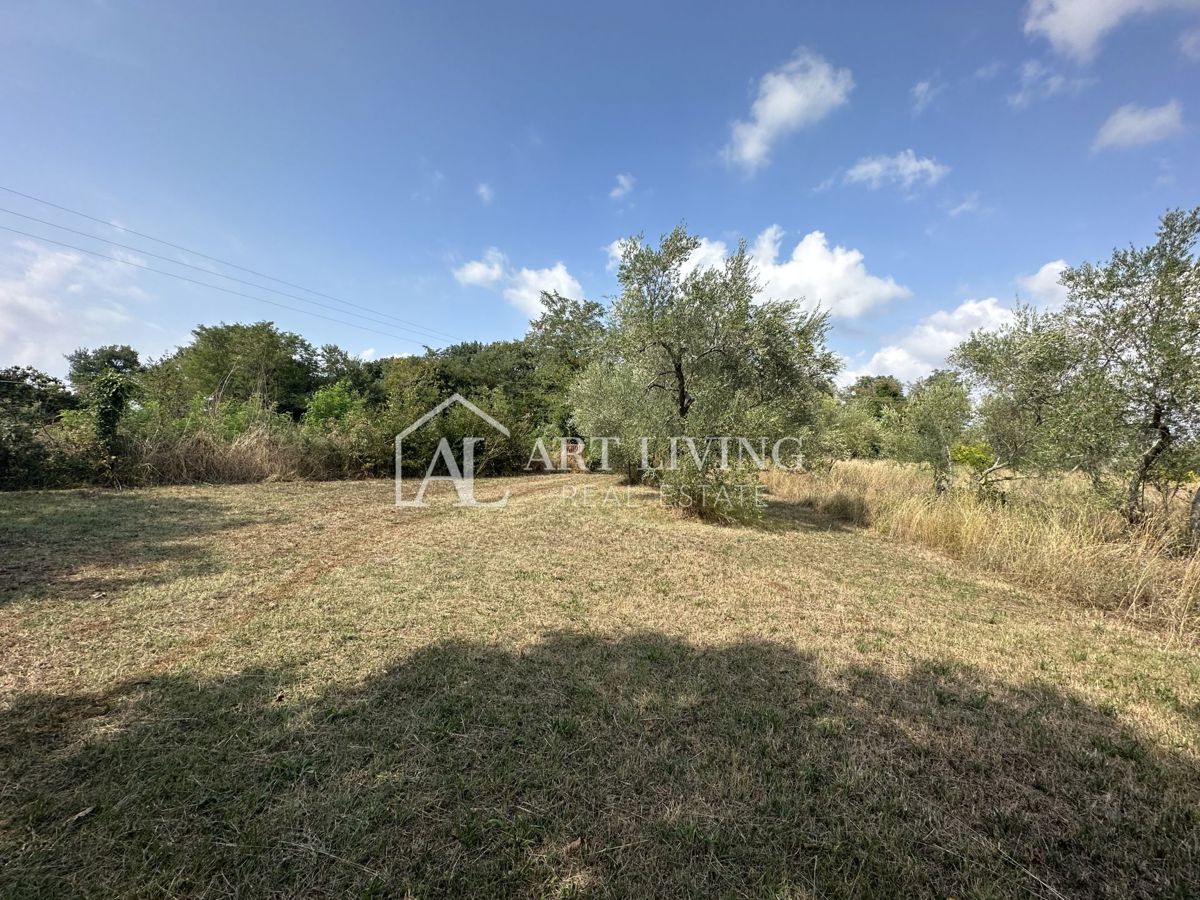 Umago dintorni – Casa da ristrutturare con ampio terreno di 2000 m²