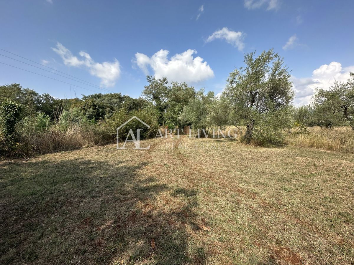 Umago dintorni – Casa da ristrutturare con ampio terreno di 2000 m²