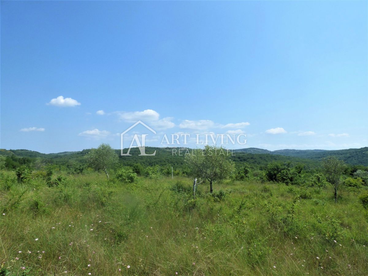 Verteneglio, attraente terreno agricolo di 31000 m2 con vista aperta