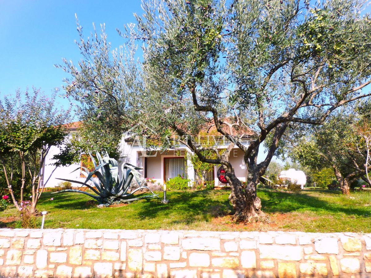 Umago-dintorni, casa a molti piani con un ampio giardino di 2.150 m2