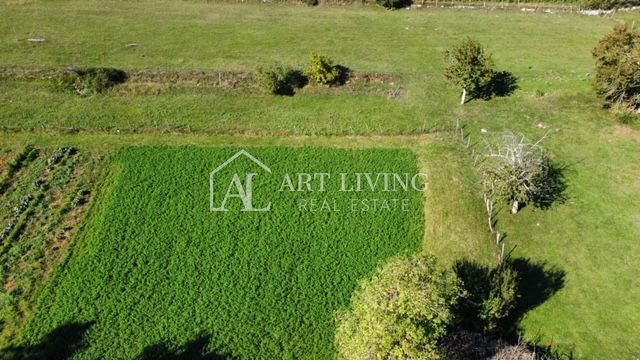 Žminj - dintorni, tenuta istriana autoctona nel centro dell'Istria