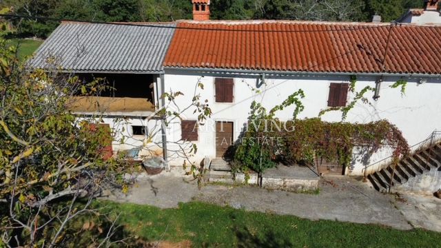 Žminj - dintorni, tenuta istriana autoctona nel centro dell'Istria