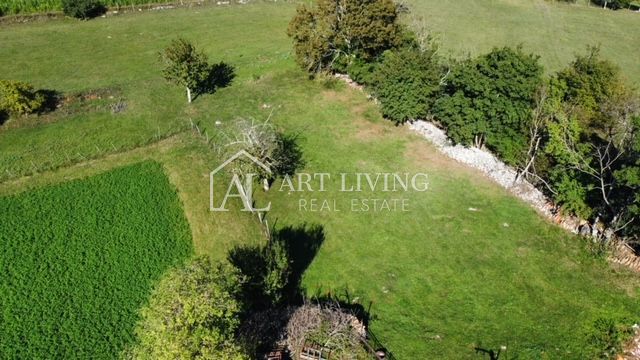 Žminj - dintorni, tenuta istriana autoctona nel centro dell'Istria