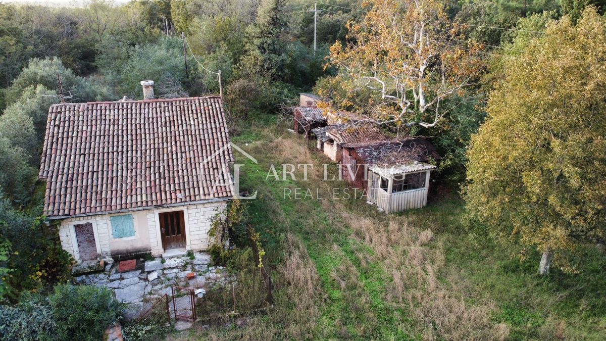 Umago, dintorni - OCCASIONE!! casa in pietra da adattare su un fantastico appezzamento di terreno