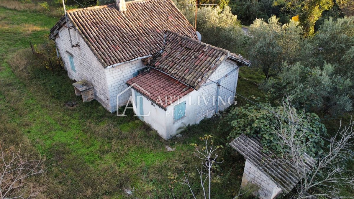 Umago, dintorni - OCCASIONE!! casa in pietra da adattare su un fantastico appezzamento di terreno