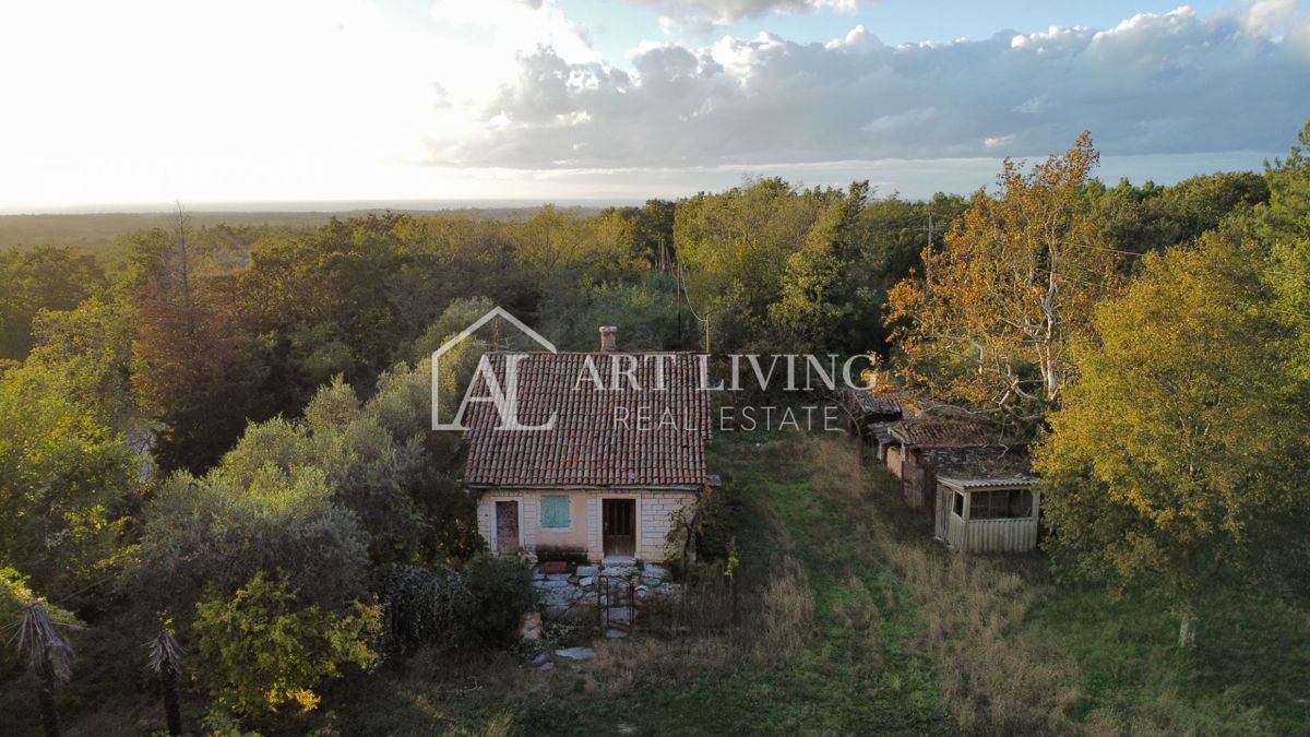 Umago, dintorni - OCCASIONE!! casa in pietra da adattare su un fantastico appezzamento di terreno