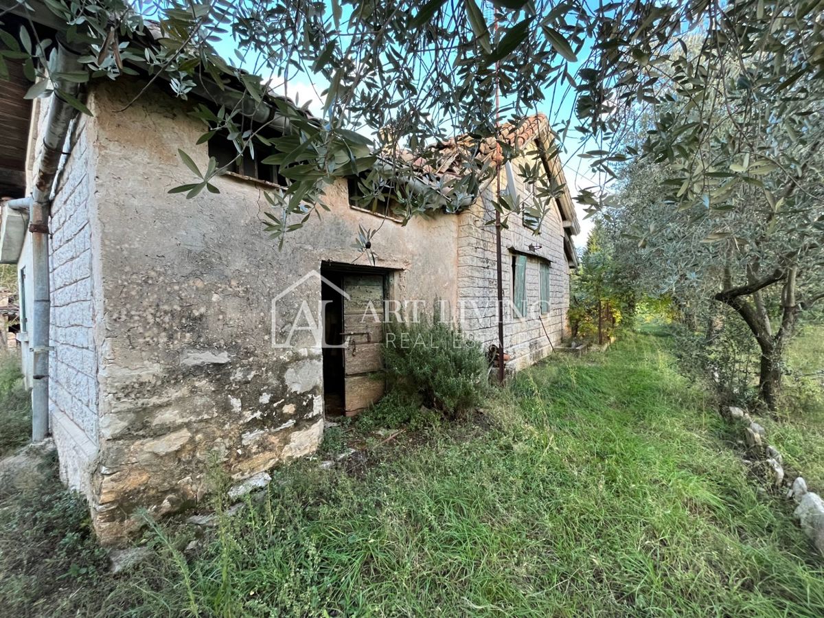 Umago, dintorni - OCCASIONE!! casa in pietra da adattare su un fantastico appezzamento di terreno