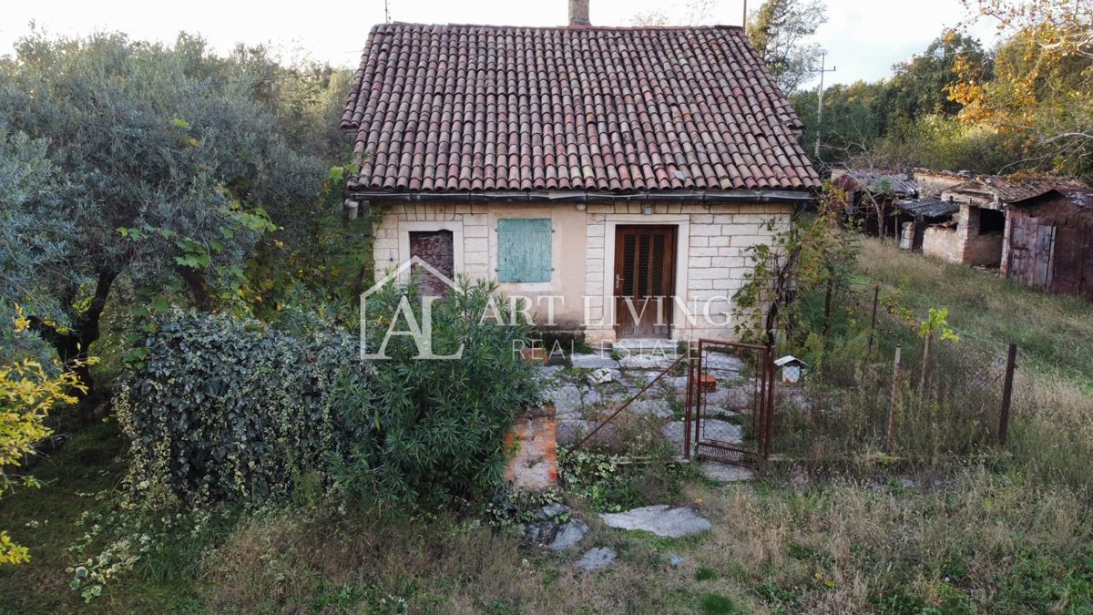 Umago, dintorni - OCCASIONE!! casa in pietra da adattare su un fantastico appezzamento di terreno