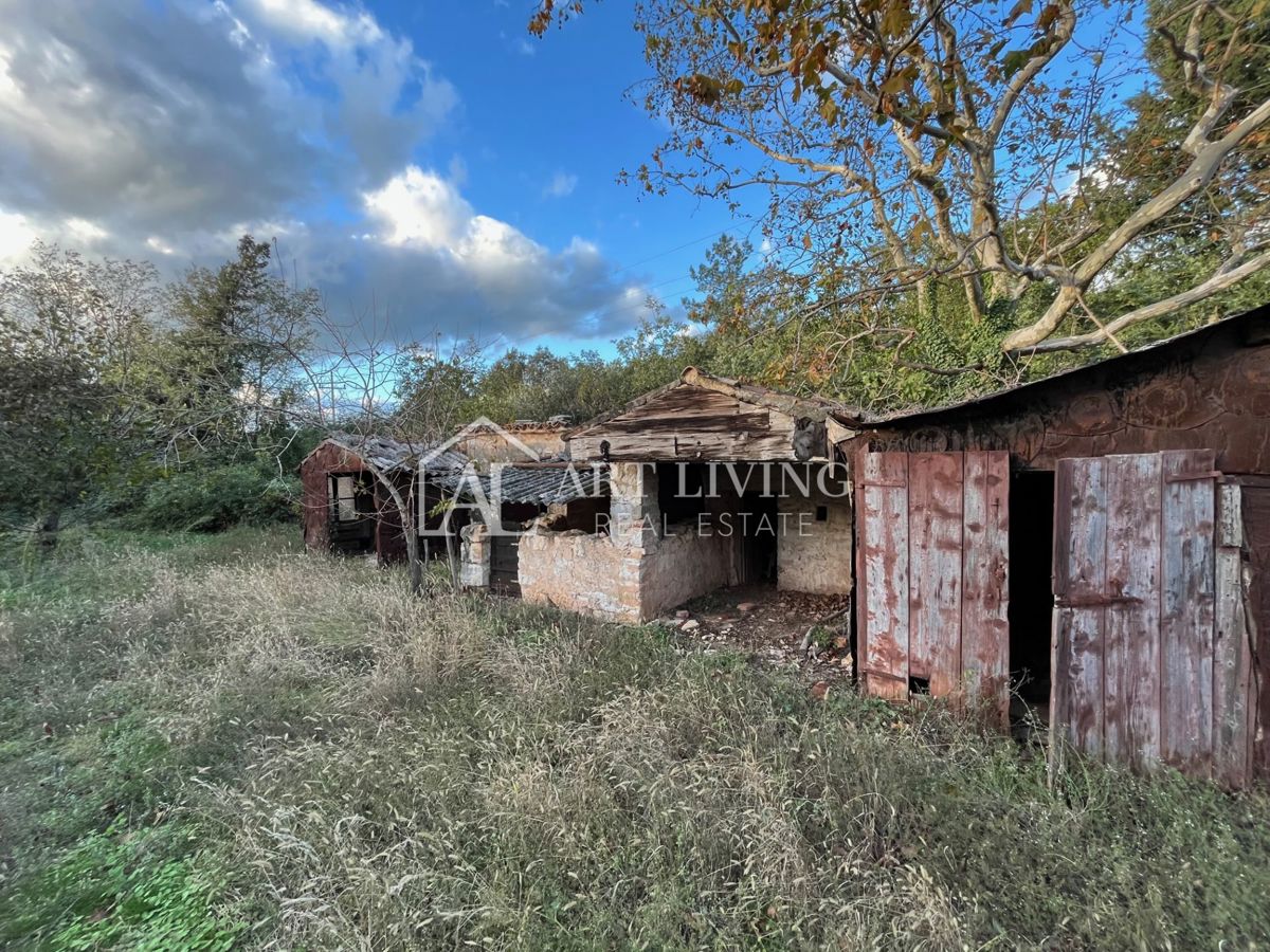 Umago, dintorni - OCCASIONE!! casa in pietra da adattare su un fantastico appezzamento di terreno