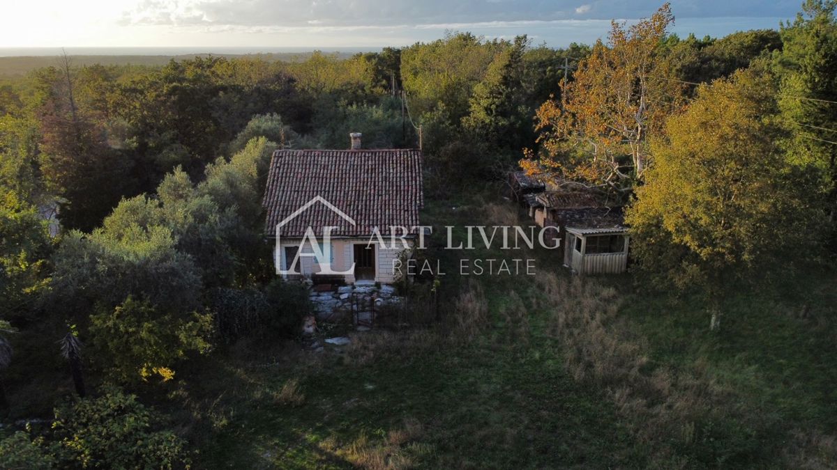 Umago, dintorni - OCCASIONE!! casa in pietra da adattare su un fantastico appezzamento di terreno