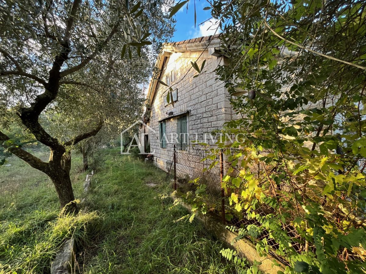 Umago, dintorni - OCCASIONE!! casa in pietra da adattare su un fantastico appezzamento di terreno