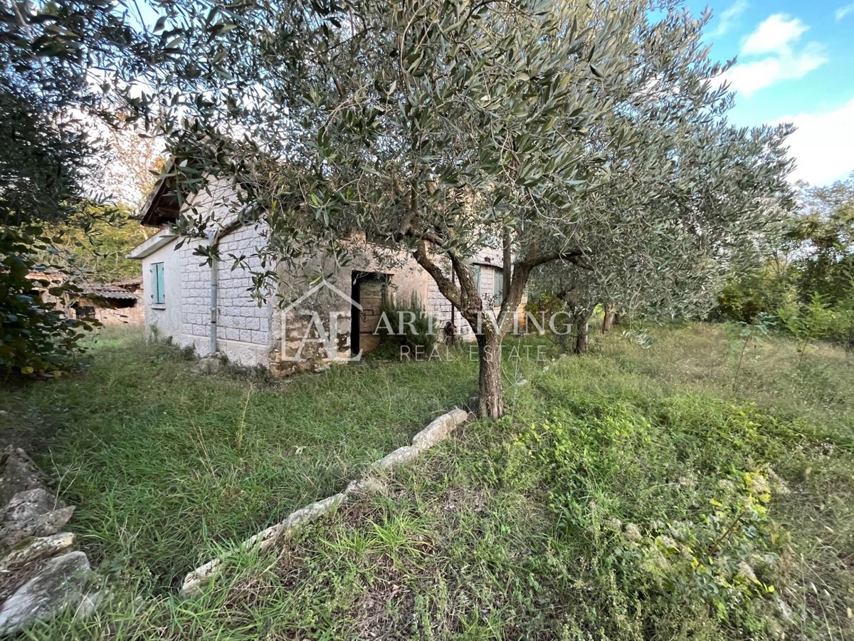 Umago, dintorni - OCCASIONE!! casa in pietra da adattare su un fantastico appezzamento di terreno