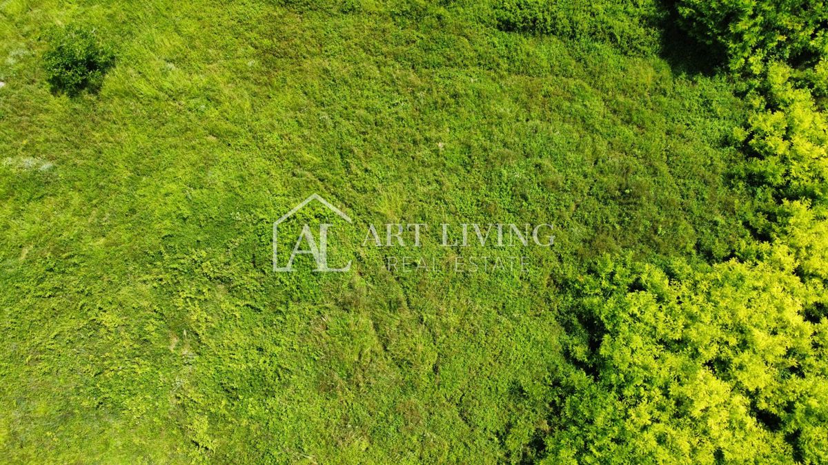 Istria, Cittanova, dintorni - attraente terreno edificabile con progetto in una posizione tranquilla e bella