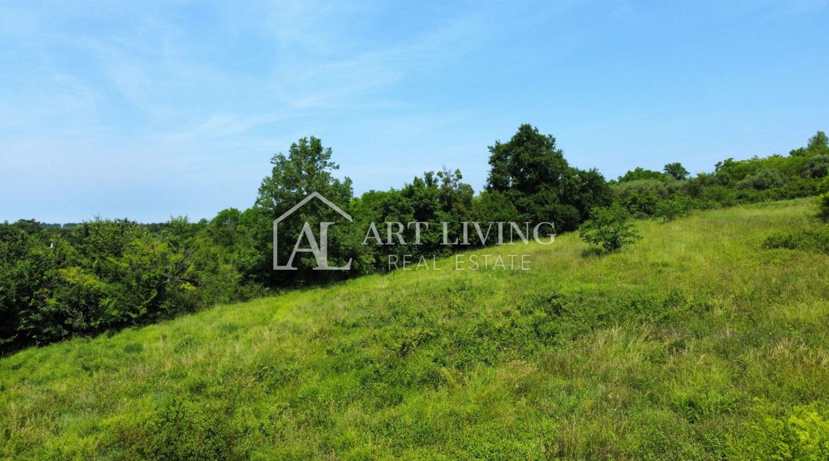 Istria, Cittanova, dintorni - attraente terreno edificabile con progetto in una posizione tranquilla e bella