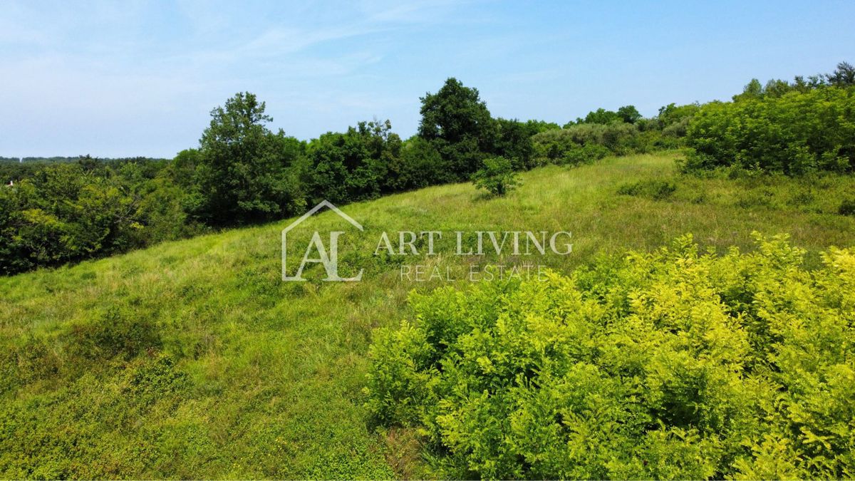 Istria, Cittanova, dintorni - attraente terreno edificabile con progetto in una posizione tranquilla e bella