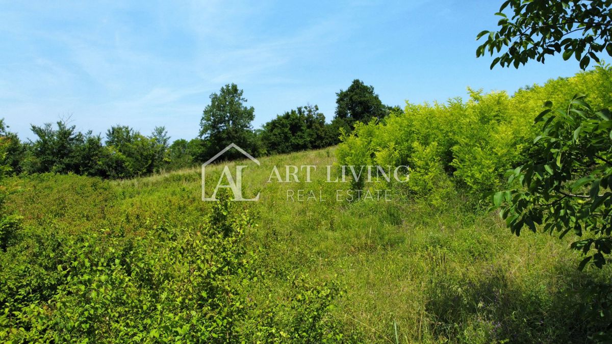 Istria, Cittanova, dintorni - attraente terreno edificabile con progetto in una posizione tranquilla e bella