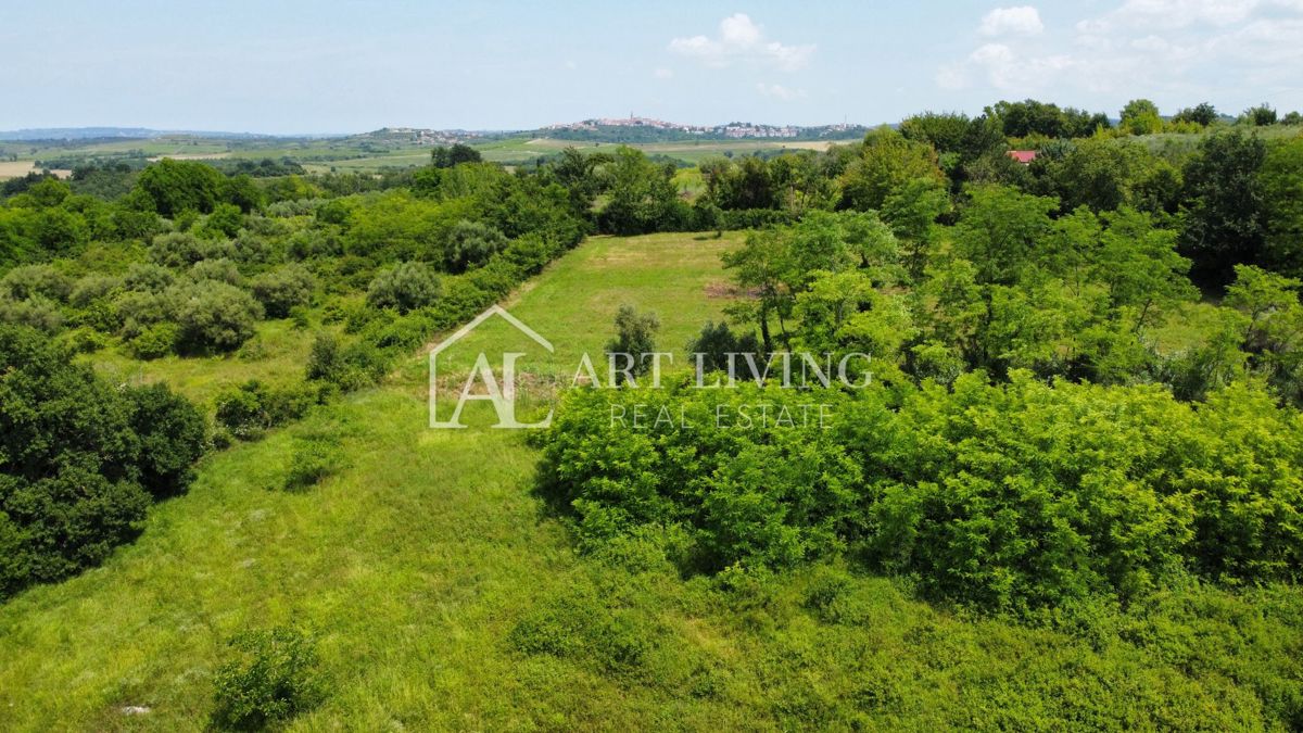 Istria, Cittanova, dintorni - attraente terreno edificabile con progetto in una posizione tranquilla e bella