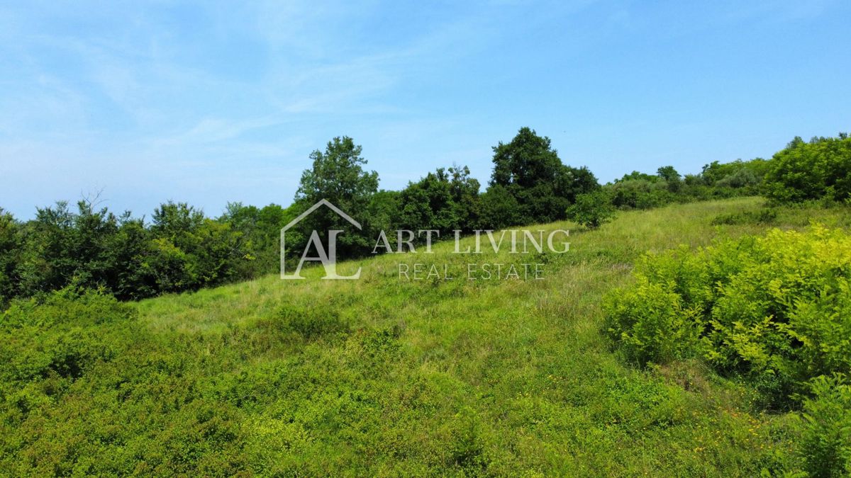 Istria, Cittanova, dintorni - attraente terreno edificabile con progetto in una posizione tranquilla e bella