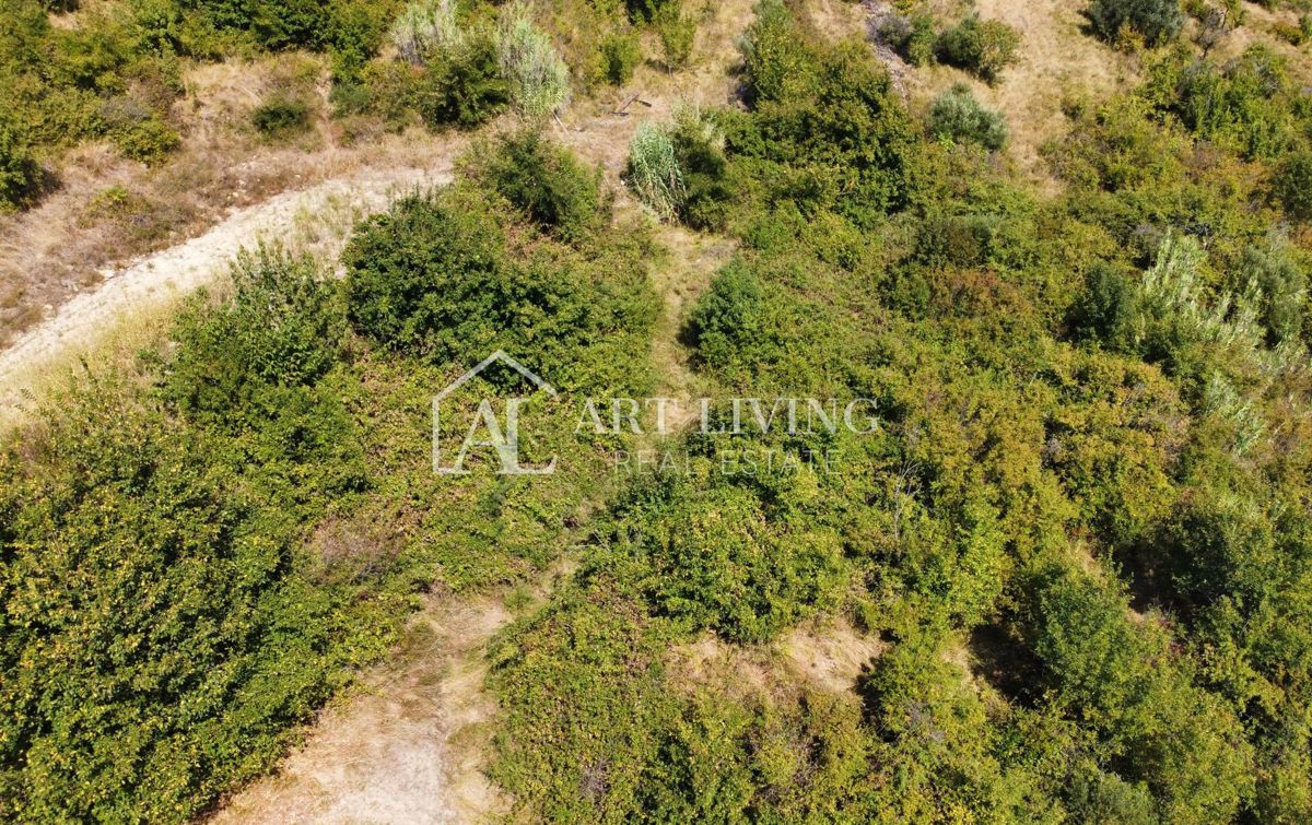 Istria, Buje, Kaštel – terreno agricolo di 37.200 m² con uno studio di agroforestazione.