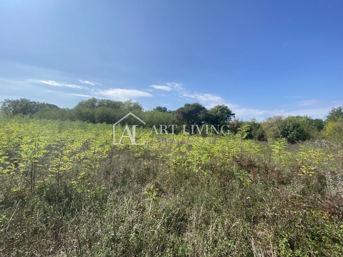 Umago, dintorni - terreno agricolo in posizione tranquilla, 3700 m2