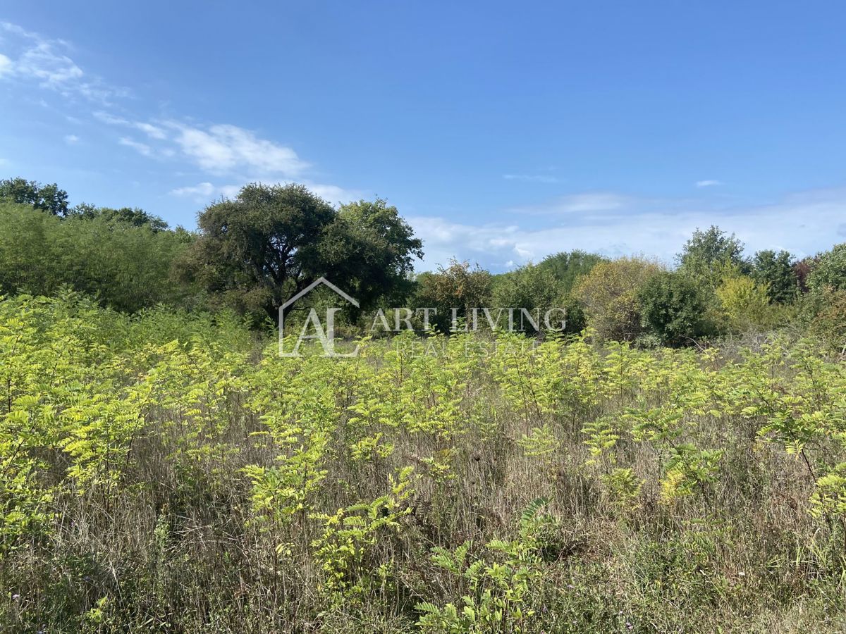 Umago, dintorni - terreno agricolo in posizione tranquilla, 3700 m2