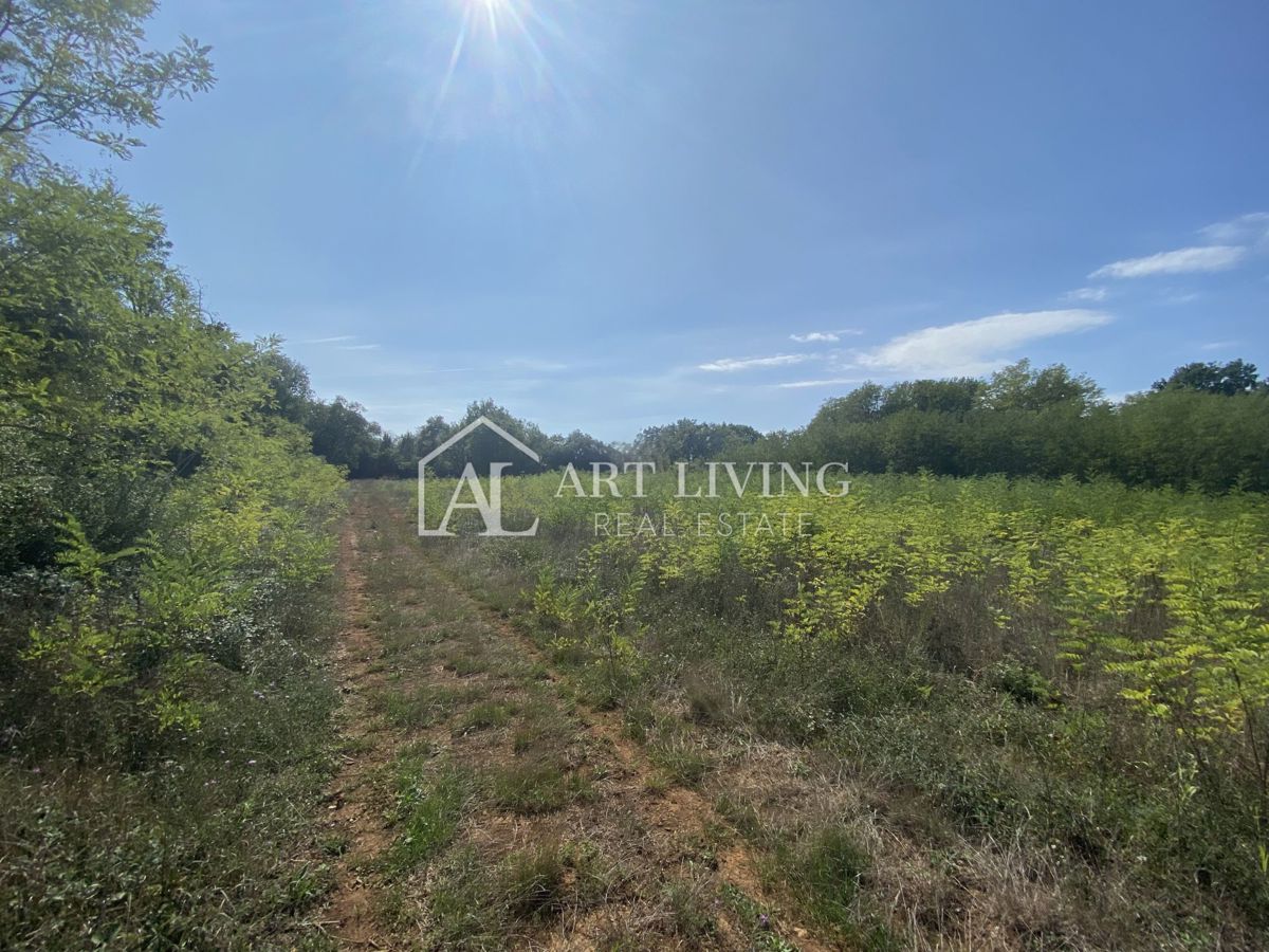 Umago, dintorni - terreno agricolo in posizione tranquilla, 3700 m2