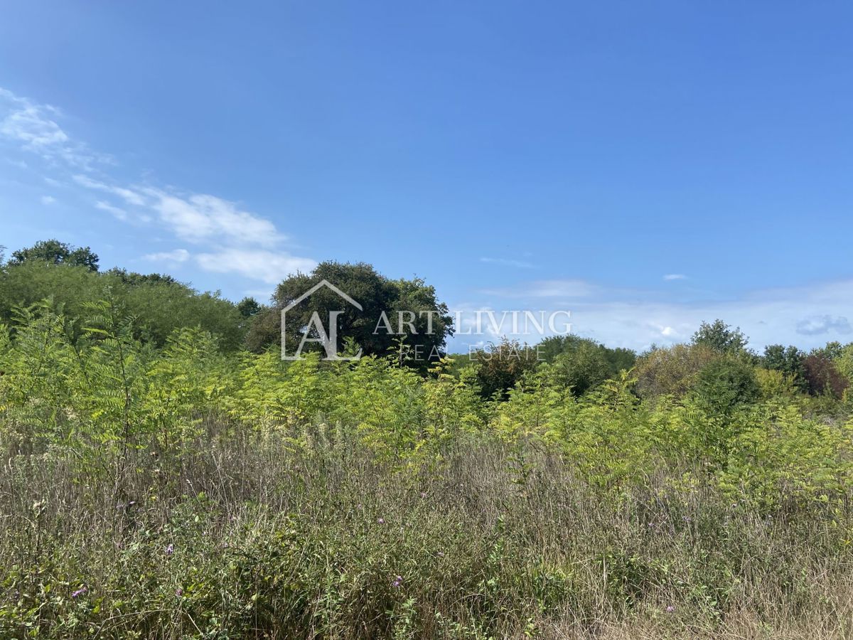 Umago, dintorni - terreno agricolo in posizione tranquilla, 3700 m2