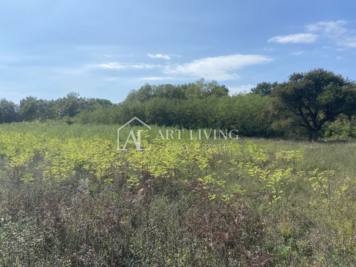 Umago, dintorni - terreno agricolo in posizione tranquilla, 3700 m2