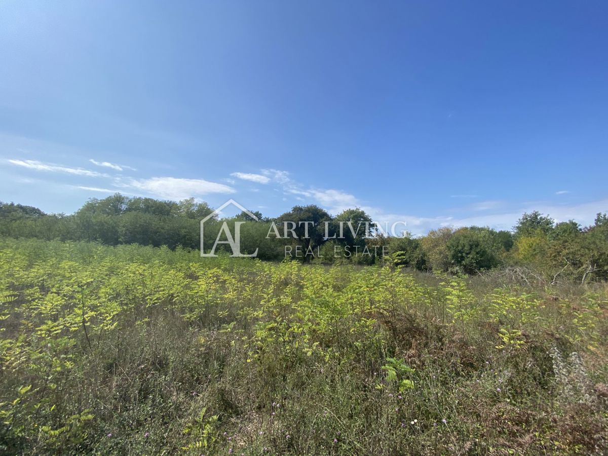 Umago, dintorni - terreno agricolo in posizione tranquilla, 3700 m2