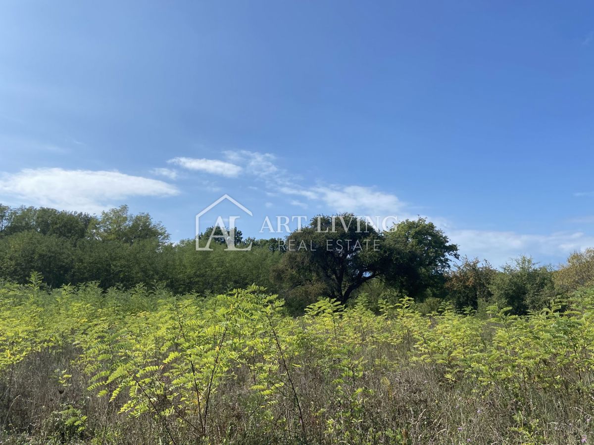 Umago, dintorni - terreno agricolo in posizione tranquilla, 3700 m2