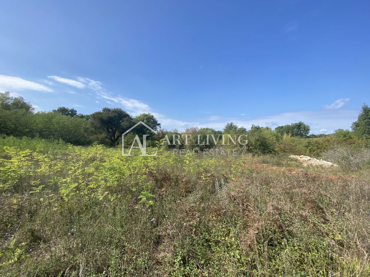 Umago, dintorni - terreno agricolo in posizione tranquilla, 3700 m2