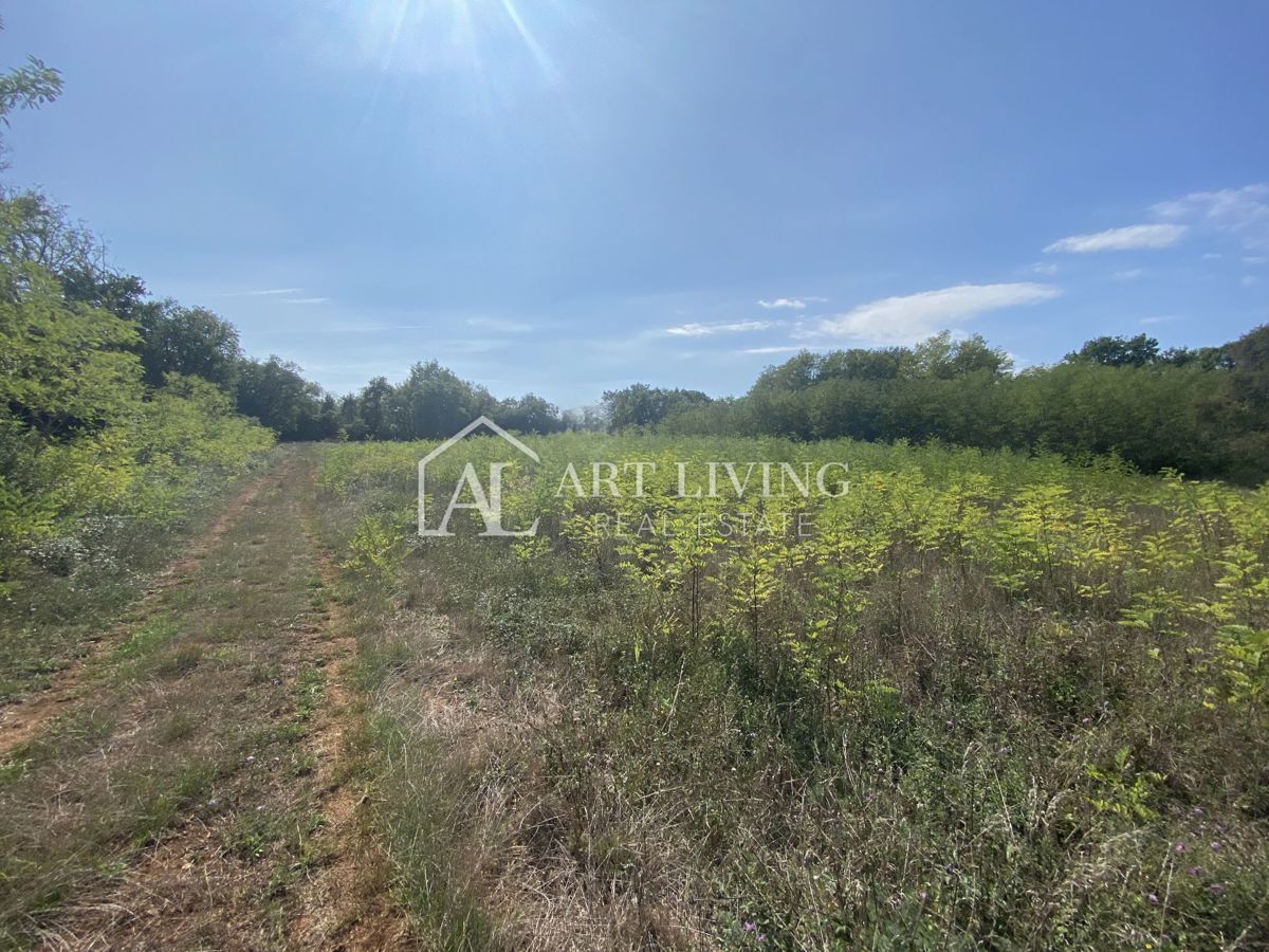 Umago, dintorni - terreno agricolo in posizione tranquilla, 3700 m2