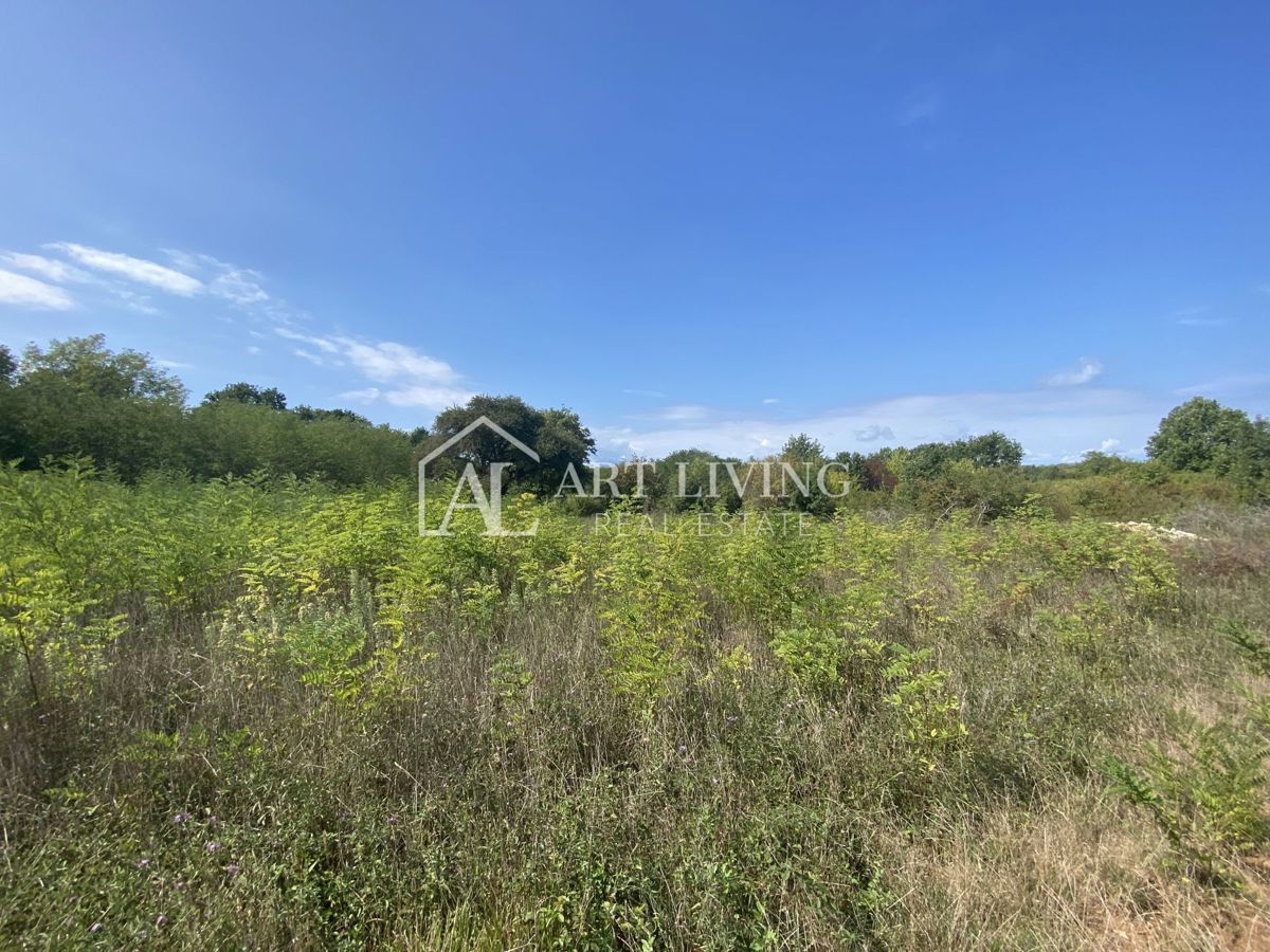 Umago, dintorni - terreno agricolo in posizione tranquilla, 3700 m2