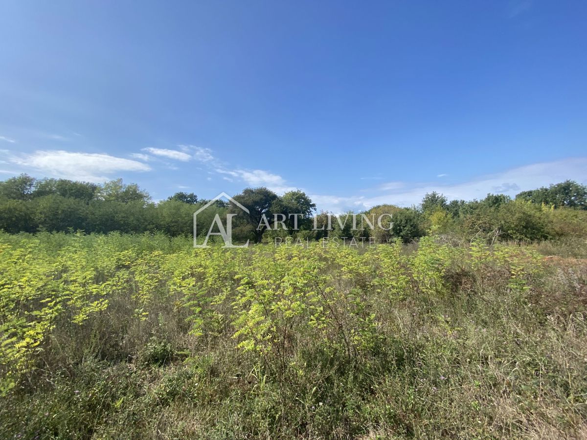 Umago, dintorni - terreno agricolo in posizione tranquilla, 3700 m2