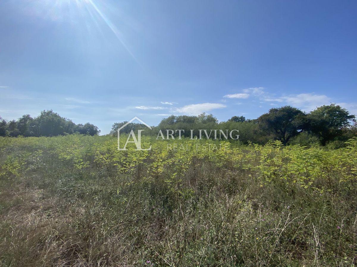 Umago, dintorni - terreno agricolo in posizione tranquilla, 3700 m2