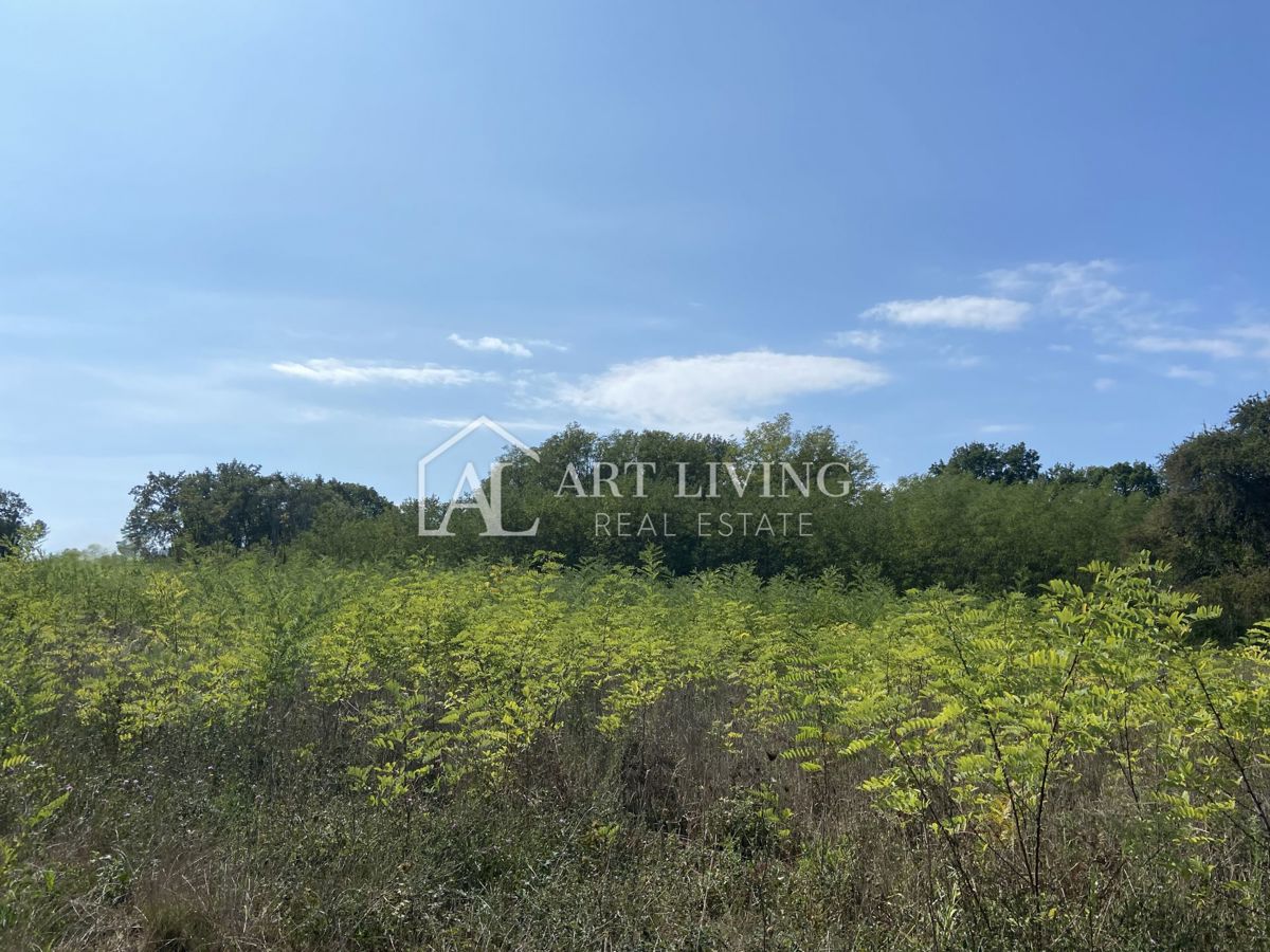 Umago, dintorni - terreno agricolo in posizione tranquilla, 3700 m2