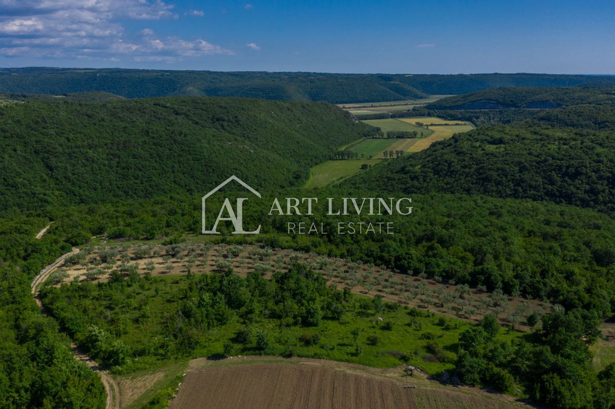 Zona di Buie, Villa in pietra d'Istria unica con piscina e vista mare