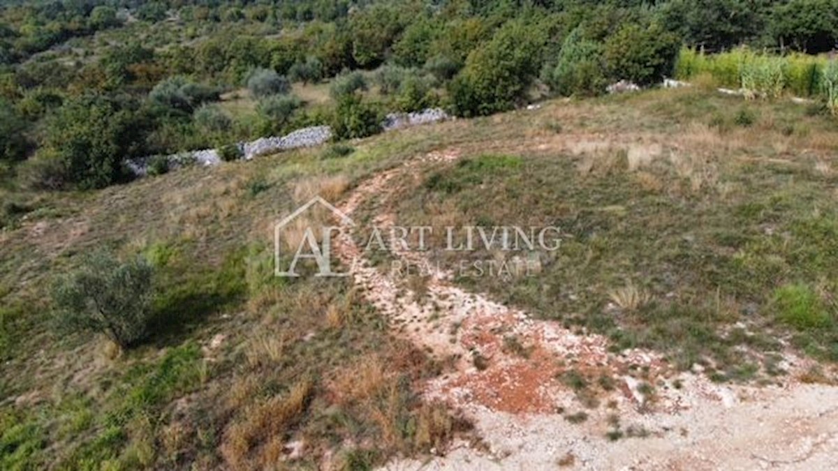 Verteneglio - dintorni, attraente terreno edificabile in una posizione idilliaca e tranquilla