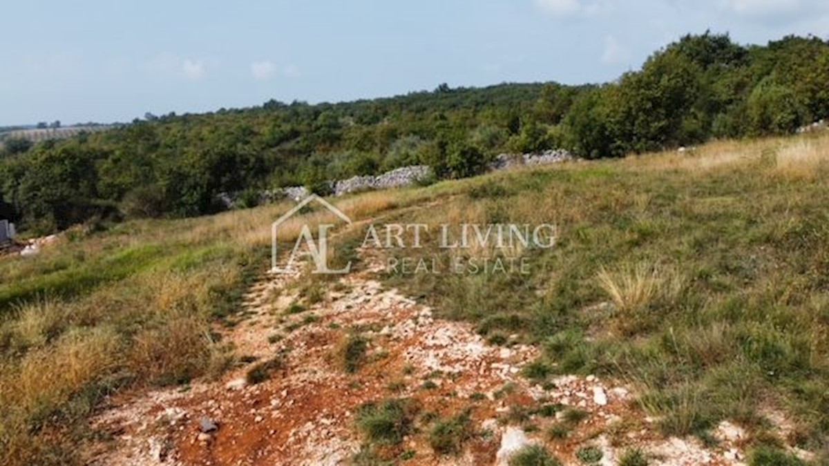 Verteneglio - dintorni, attraente terreno edificabile in una posizione idilliaca e tranquilla