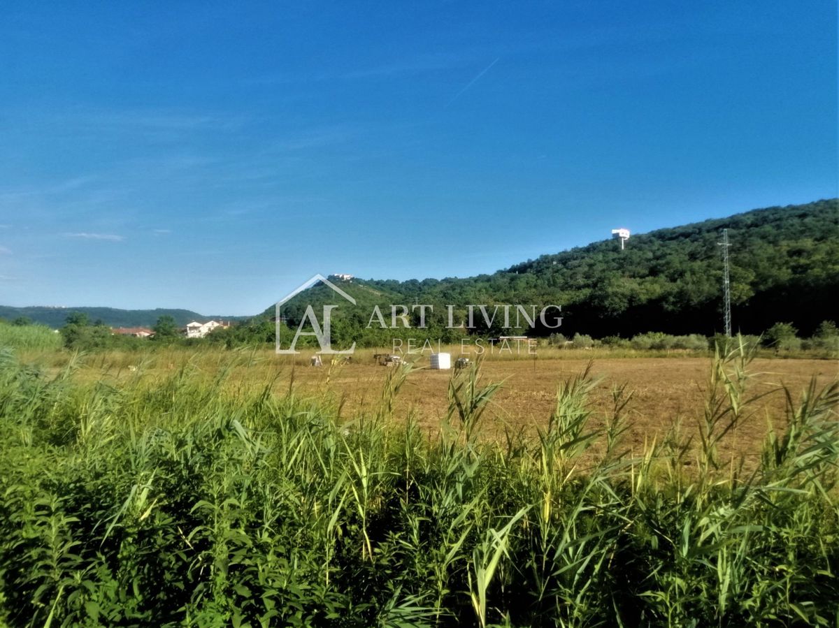 Buie-dintorni, bel terreno agricolo 5100 m2