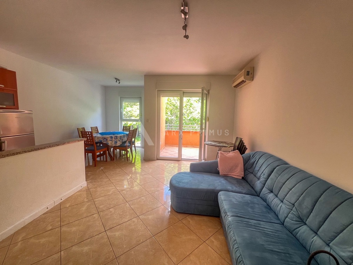 Stan na izvrsnoj poziciji, Zambratija, Umag